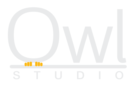 Owl_studio